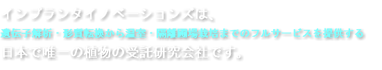 インプランタイノベーションズは、 遺伝子解析・形質転換から温室・隔離圃場栽培までのフルサービスを提供する 日本で唯一の植物の受託研究会社です。