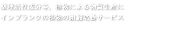 薬理活性成分等、植物による物質生産に インプランタの植物の組織培養サービス